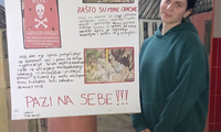 Slika